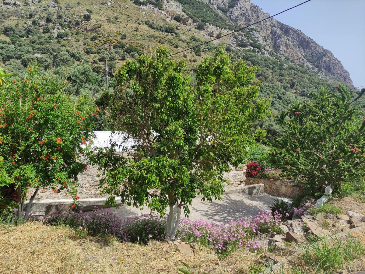 Olga'S Traditional Stone House, Palaiochora Kondokinigi Εξωτερικό φωτογραφία